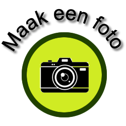 Foto maken